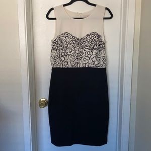 Ann Taylor Loft Womens Size 8 Dress